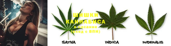 скорость Алзамай