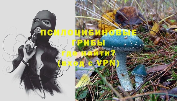 мет Алексин