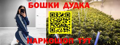 кокс Краснодар