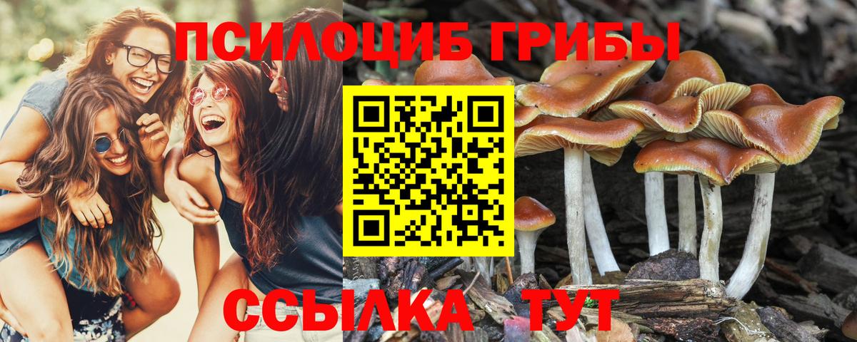 Псилоцибиновые грибы мухоморы Карпинск